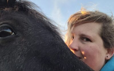 What Actually Happens When You Spend an Hour With a Horse