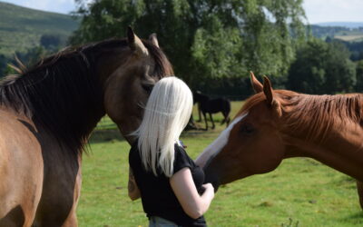 This work’s not about the horse!
