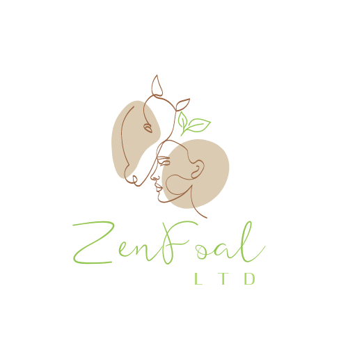 ZenFoal ltd ZenFoal ltd